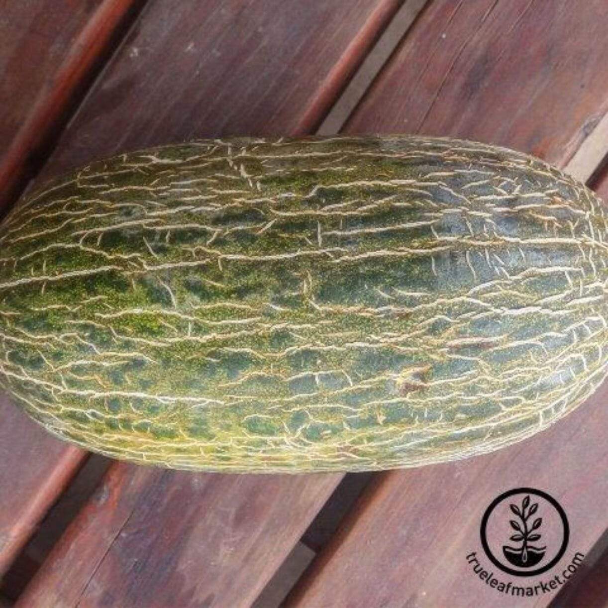 Piel De Sapo Melon