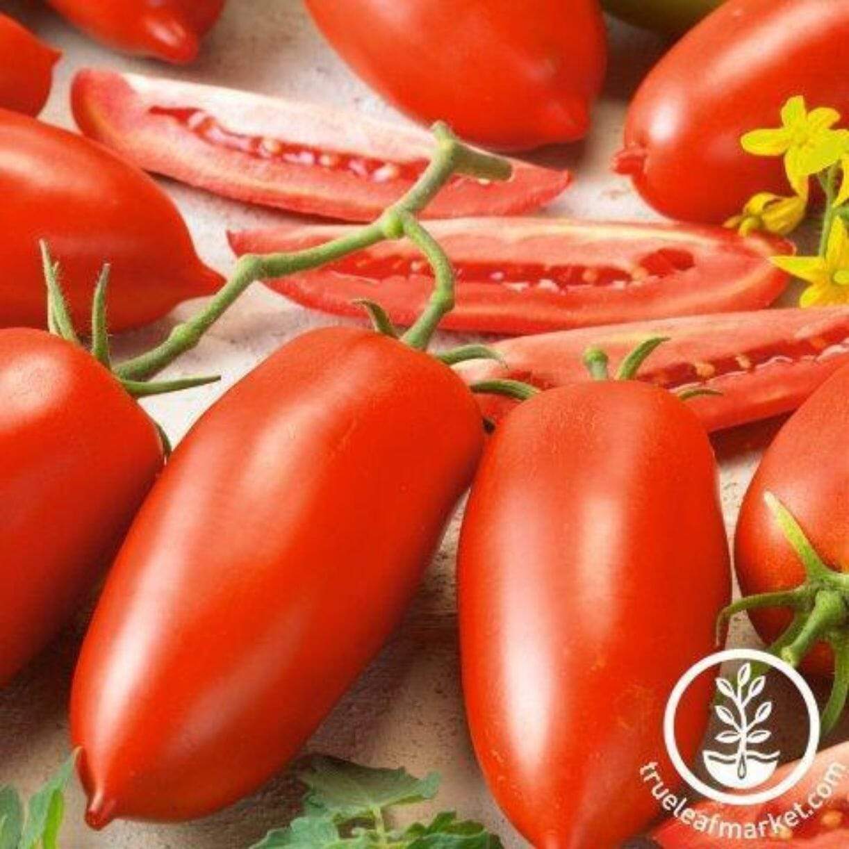 Super Italian Paste Tomato