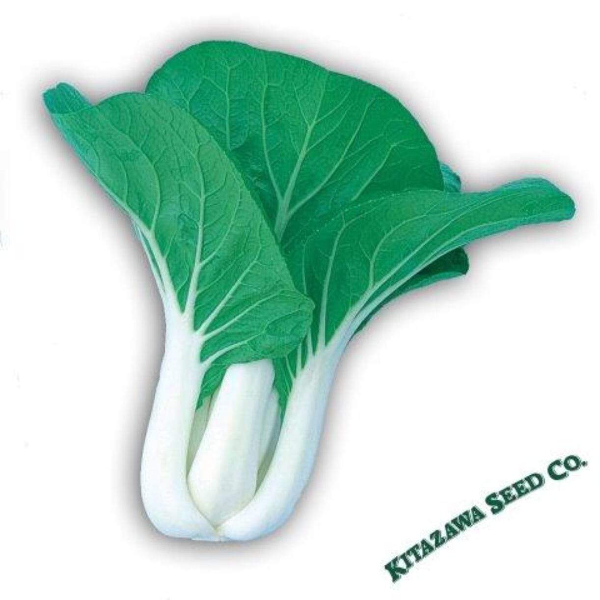 Dwarf White Stem Cabbage