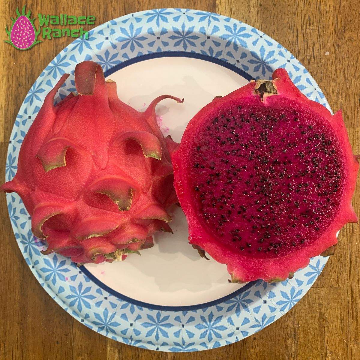 Robles Red Dragonfruit (1)