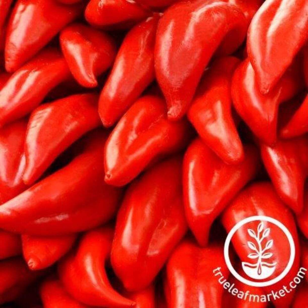 Numex 64 Pepper