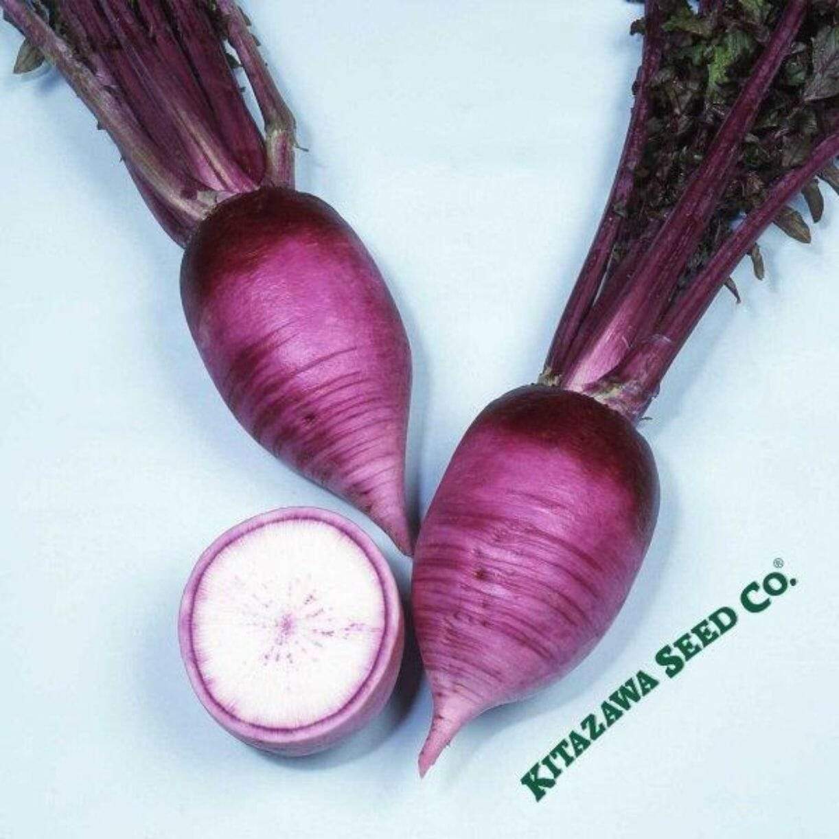 Hybrid Hot Radish