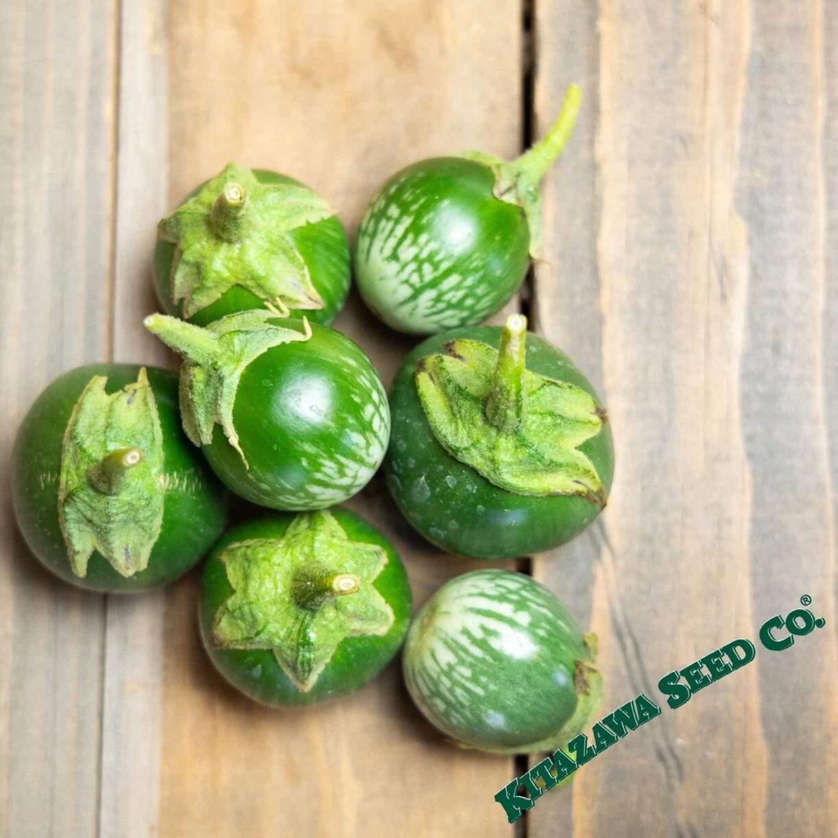 Petch Siam Eggplant