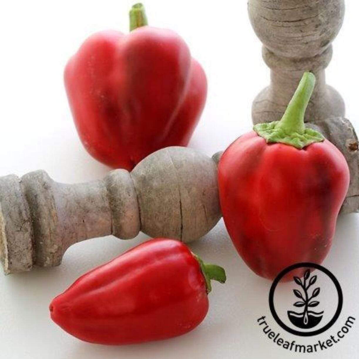 Pimento L Pepper