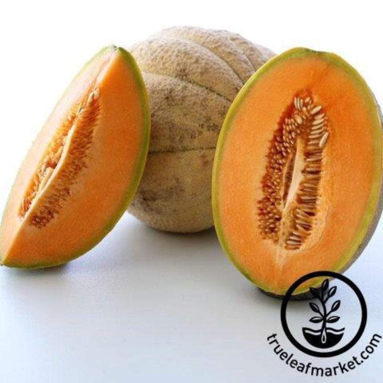 Tuscany Melon