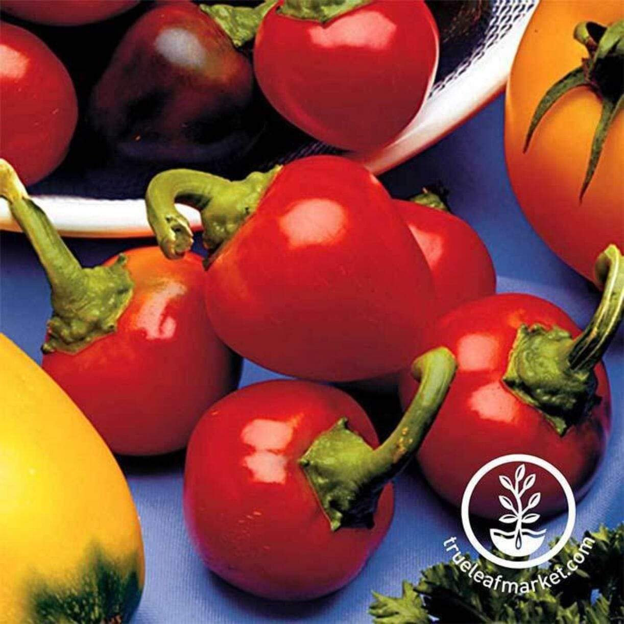 Red Cherry Sweet Pepper