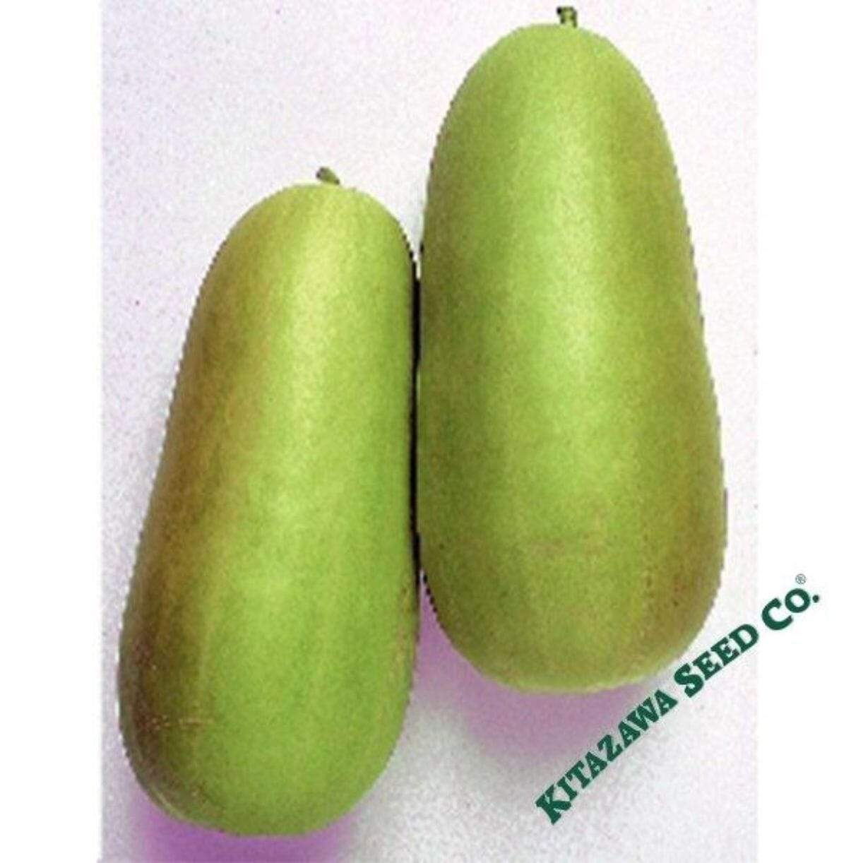 Oshiro Uri Numane Melon