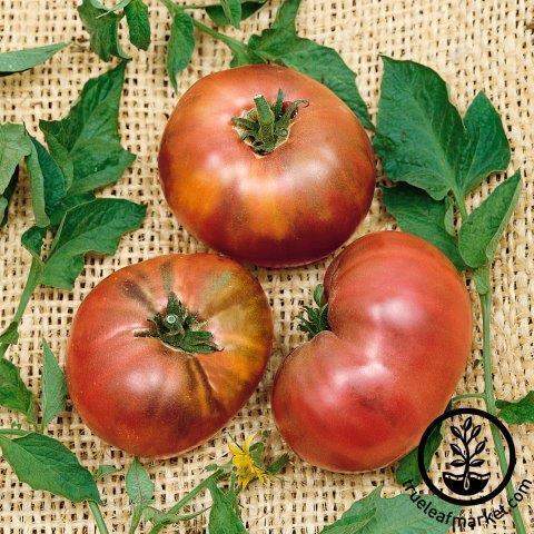 Brandywine Black Regular Leaf Tomato