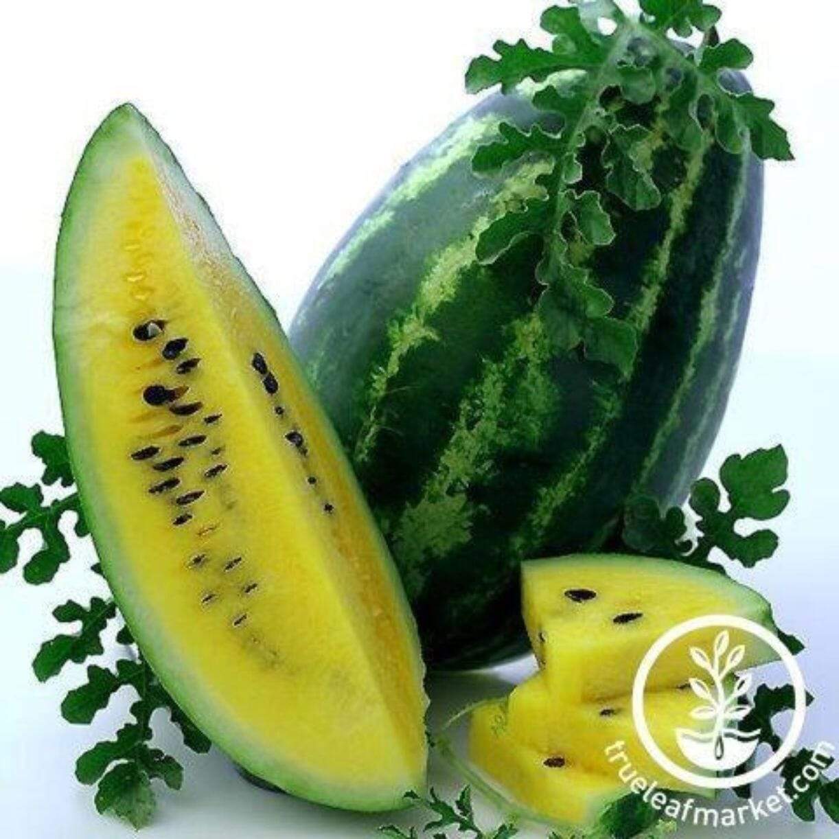 Mountain Sweet Watermelon
