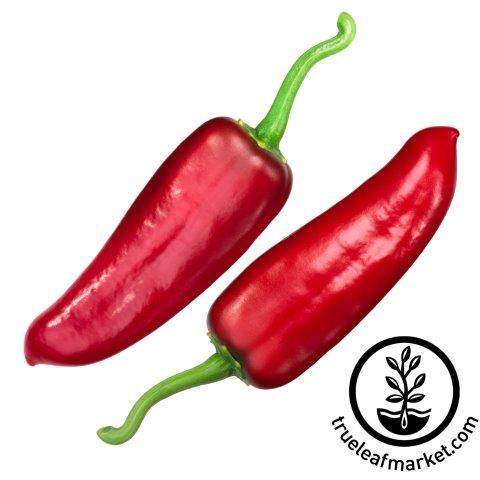 Numex Joe E Parker Pepper