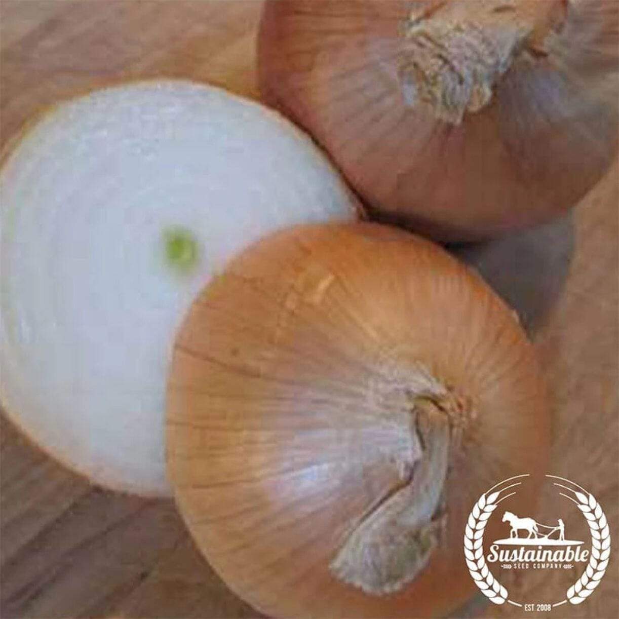 Utah Yellow Sweet Spanish Onion