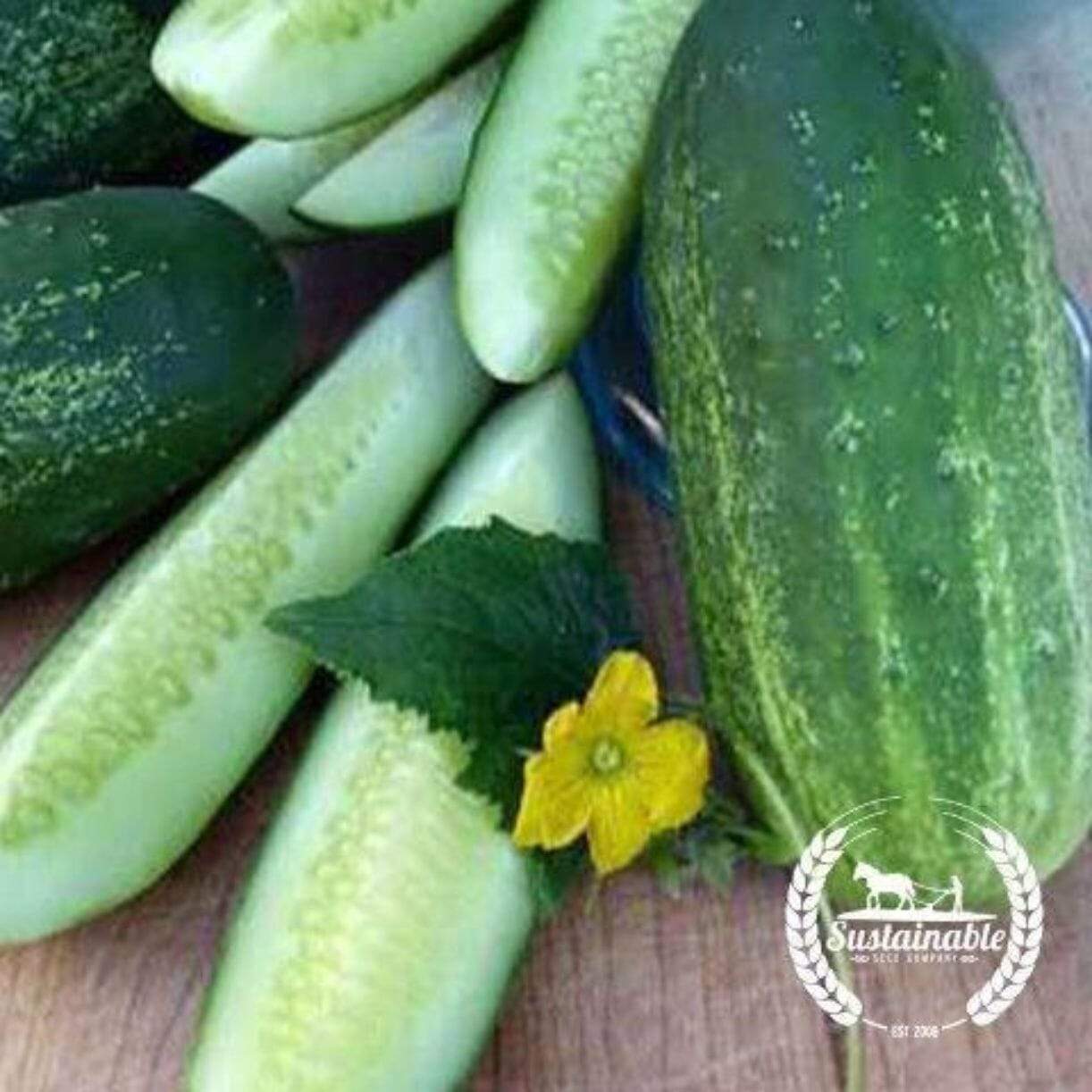 Homemade Pickles Cucumber