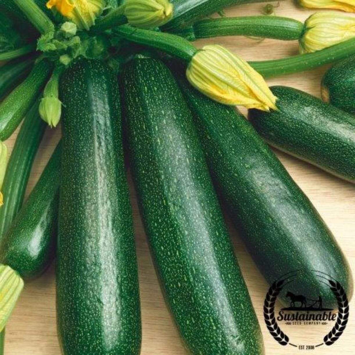 Fordhook Zucchini