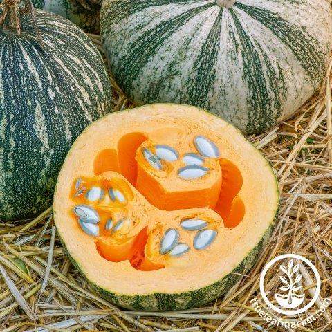 Silver Edged Squash