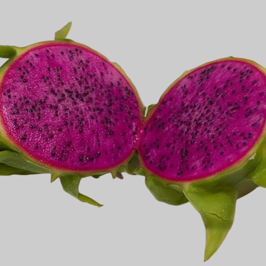 Condor Dragon Fruit (6)