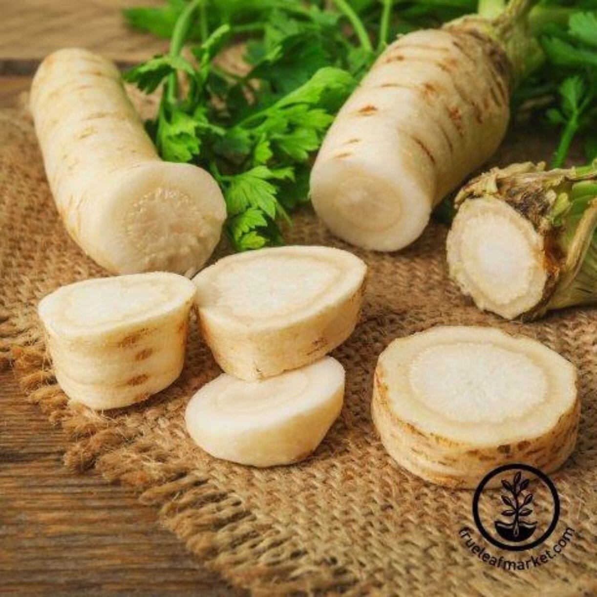 Hamburg Rooted Parsley