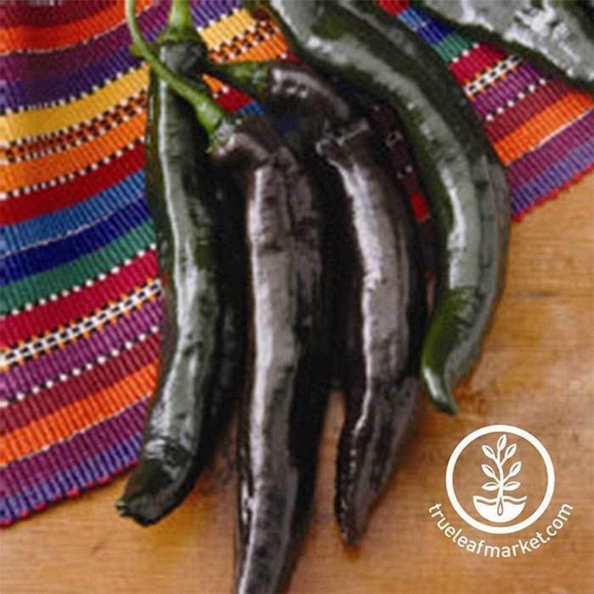 Holy Mole Pepper