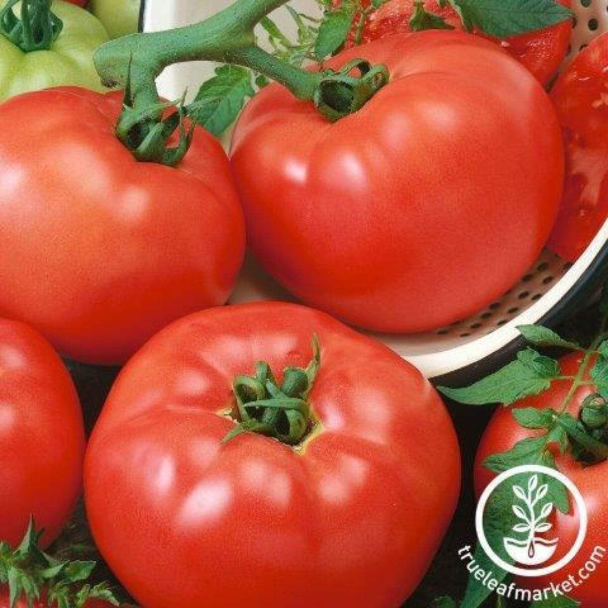 Chef's Choice Red Tomato