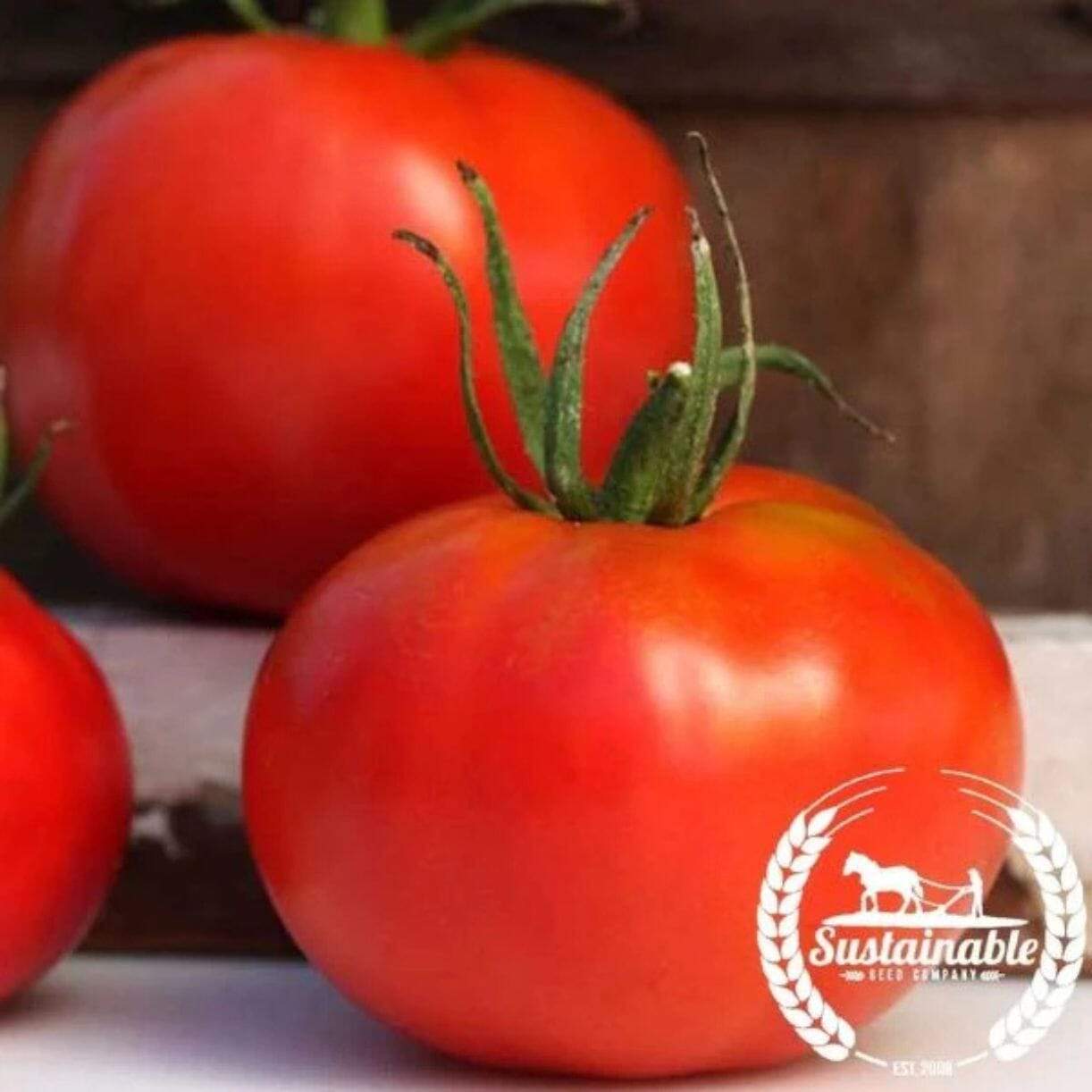Marglobe Tomato