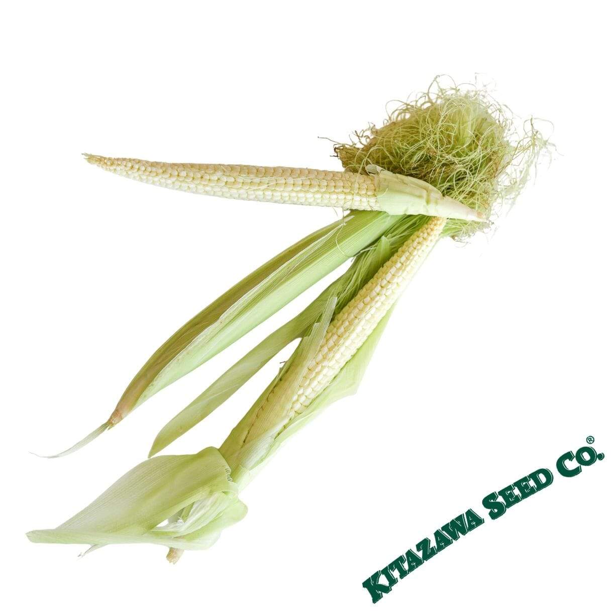 Japanese Hulless Corn