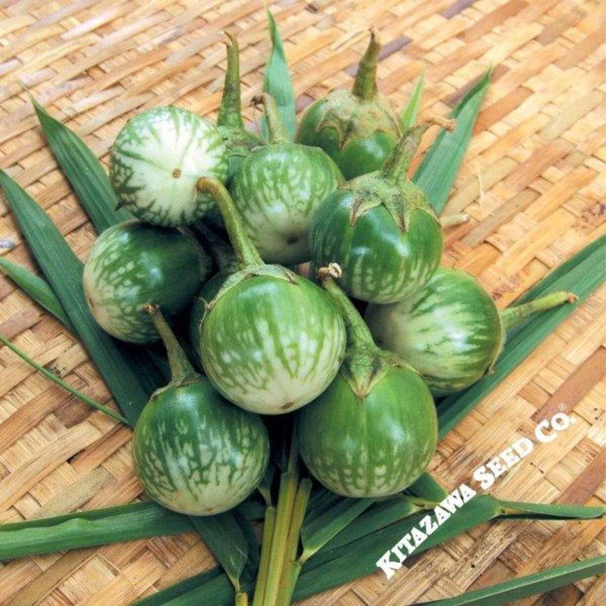Thai Round Eggplant