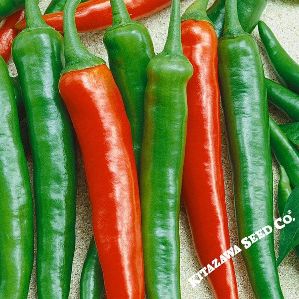 Thai Scorpion Pepper
