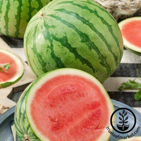 Triple Treat Watermelon
