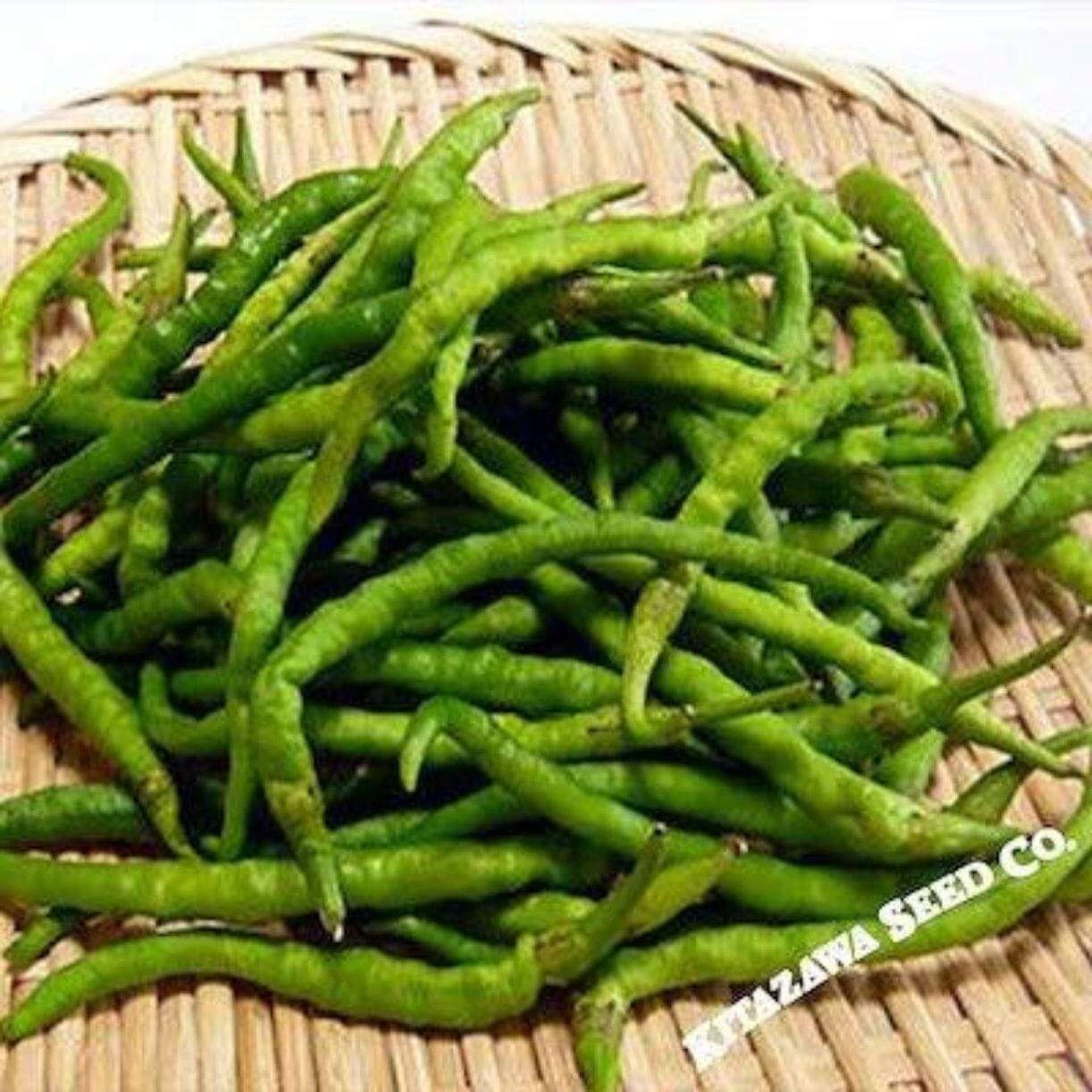 Himo Togarashi Pepper
