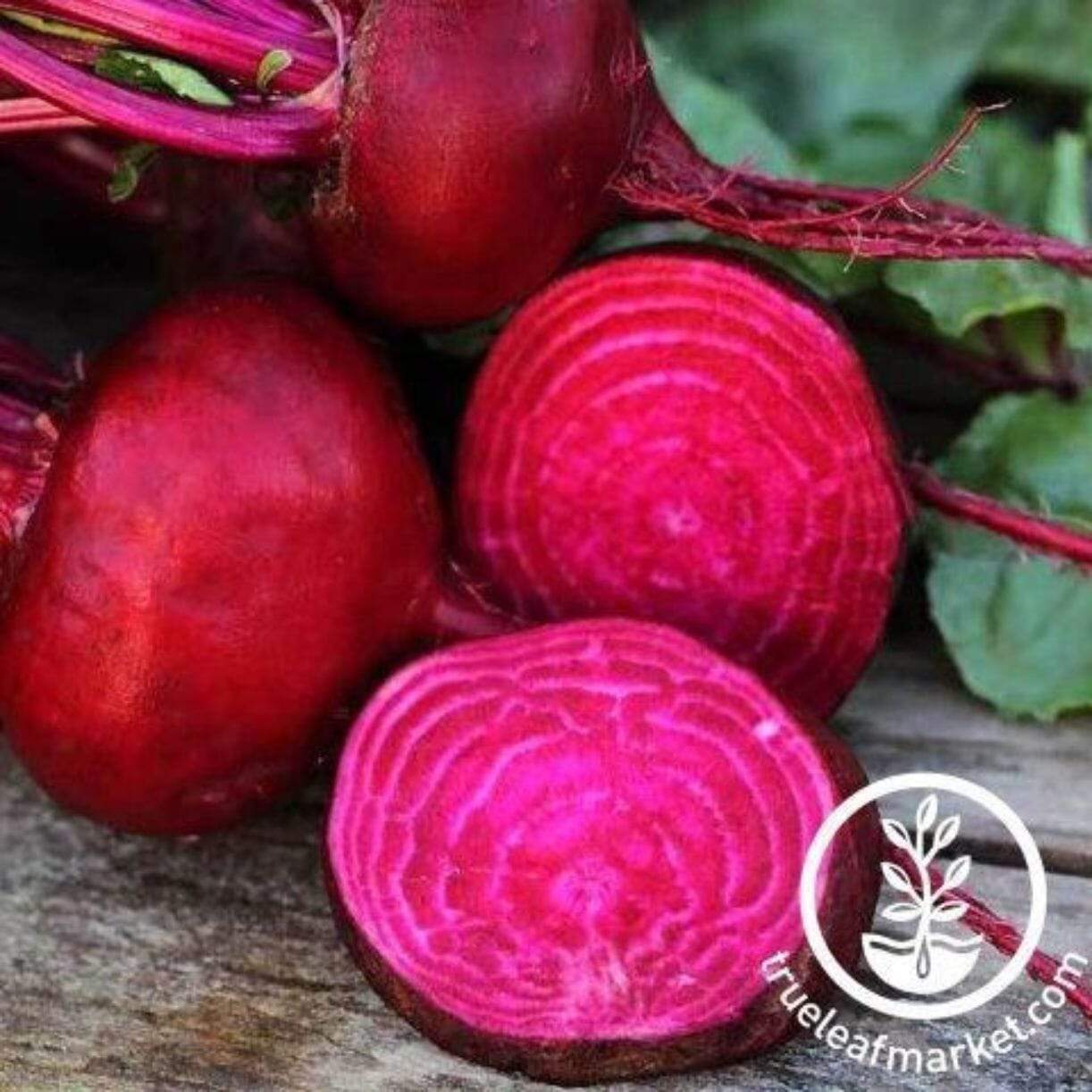 Crosby Egyptian Beet