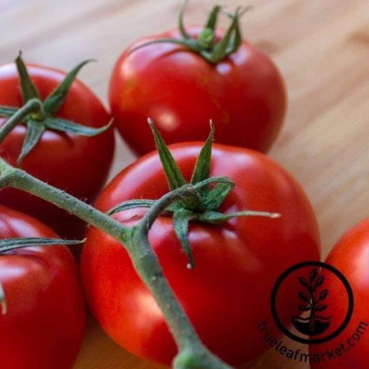 Mountain Delight Tomato