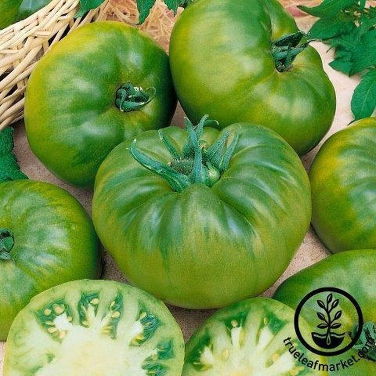 Cherokee Green Tomato