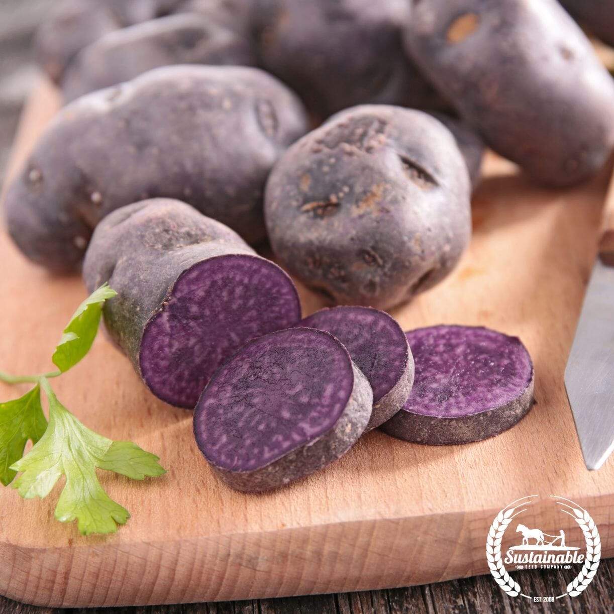 Potato Purple Majesty