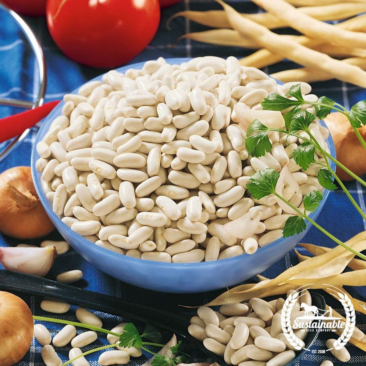 Great Northern Cannellini Bean