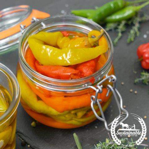 Pepperoncini Greek Golden Pepper