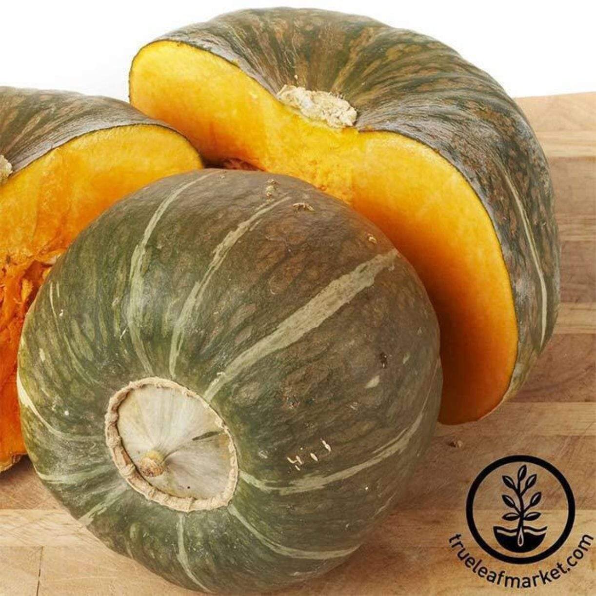Burgess Buttercup Squash
