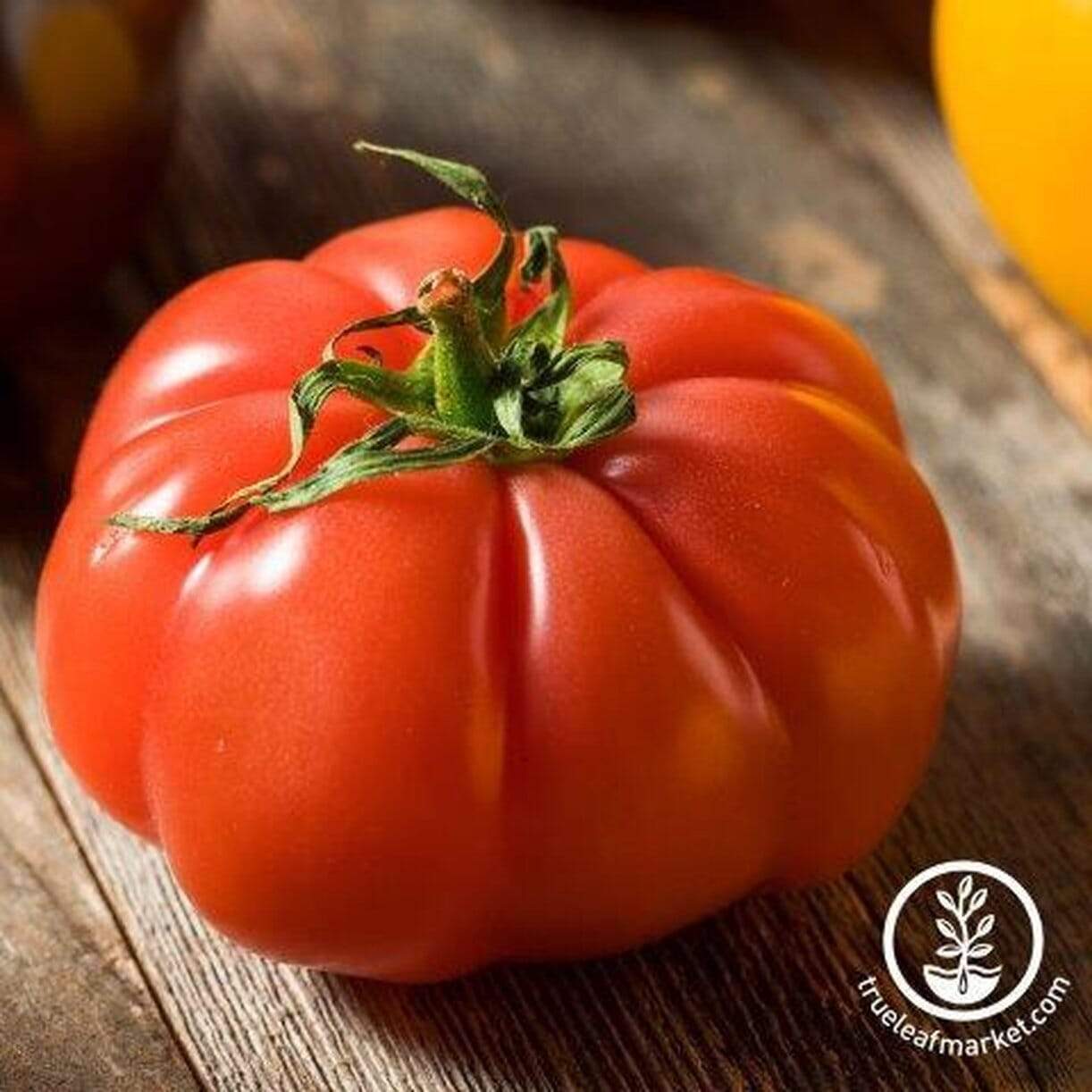 Super Marmande Vf Tomato