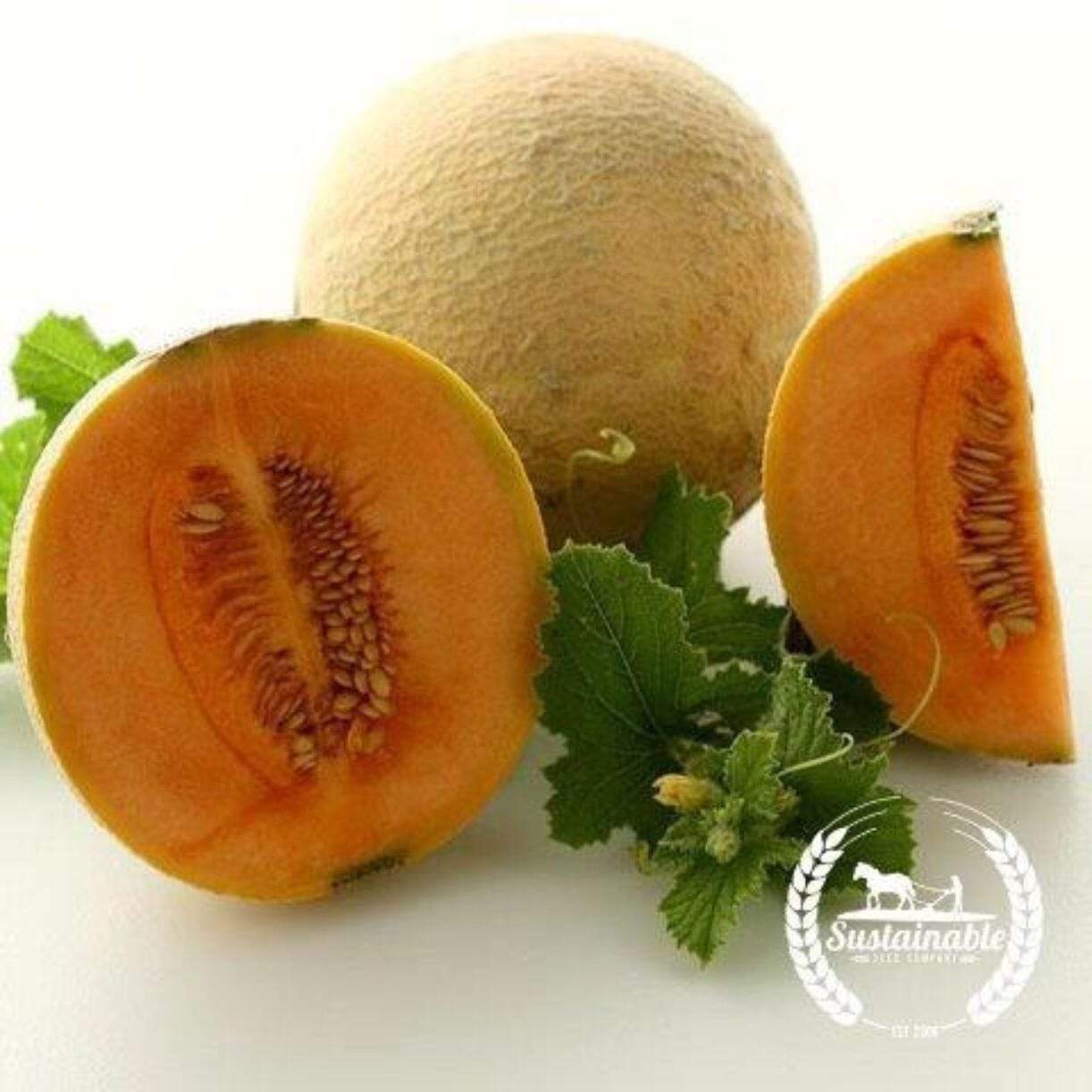 Hearts Of Gold Melon