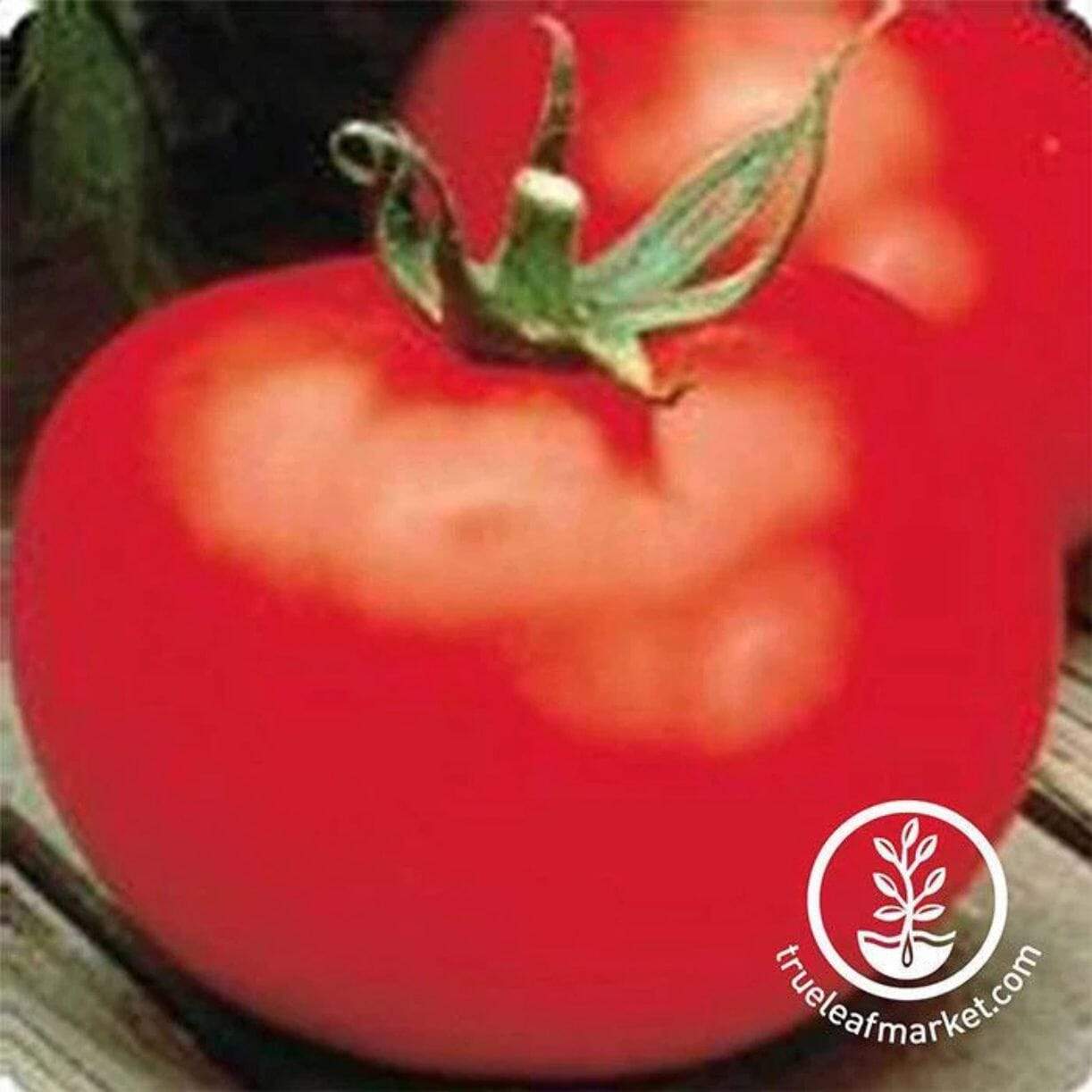 Better Boy Plus Tomato