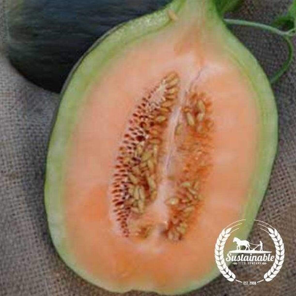 Crenshaw Melon