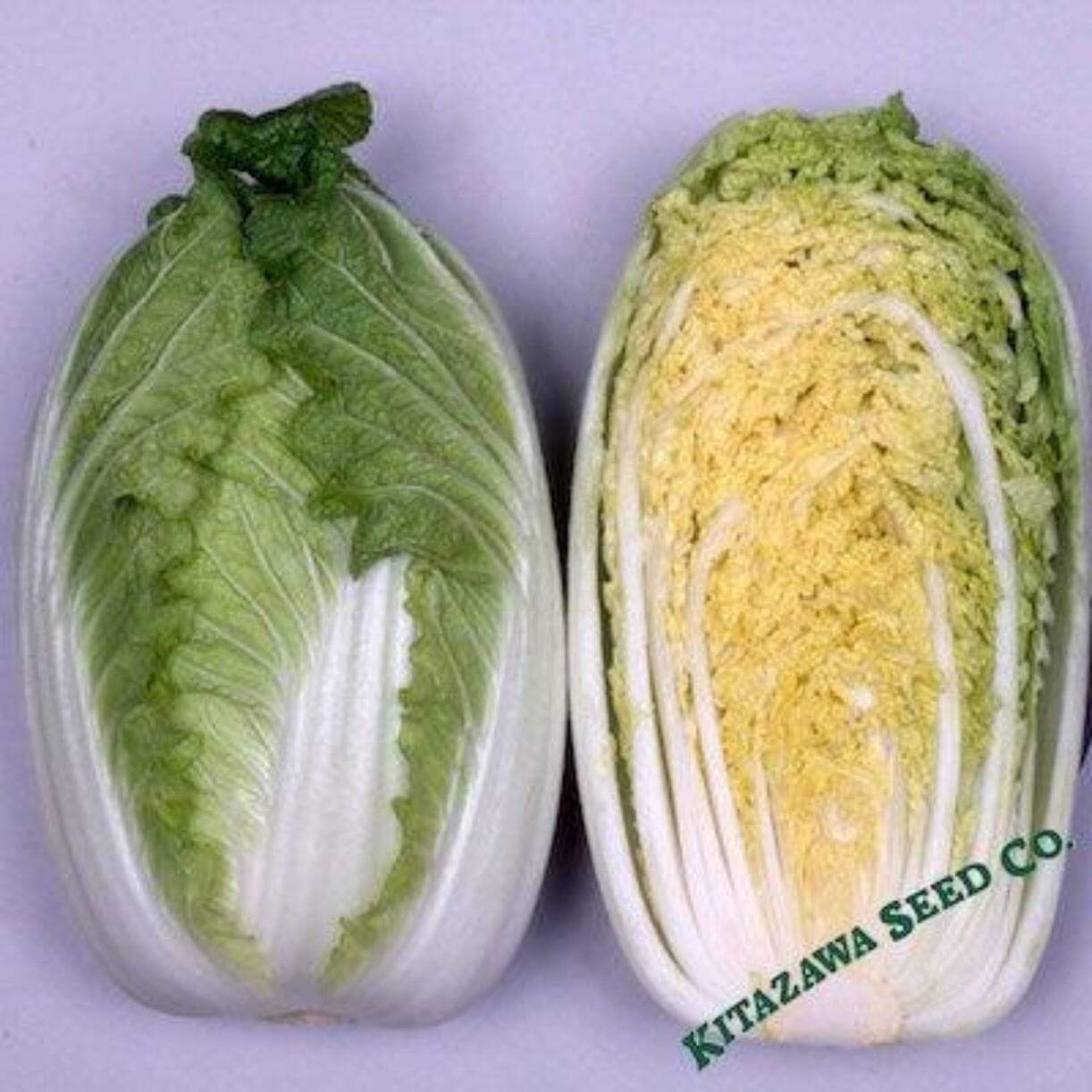 Hybrid Chinese Cabbage