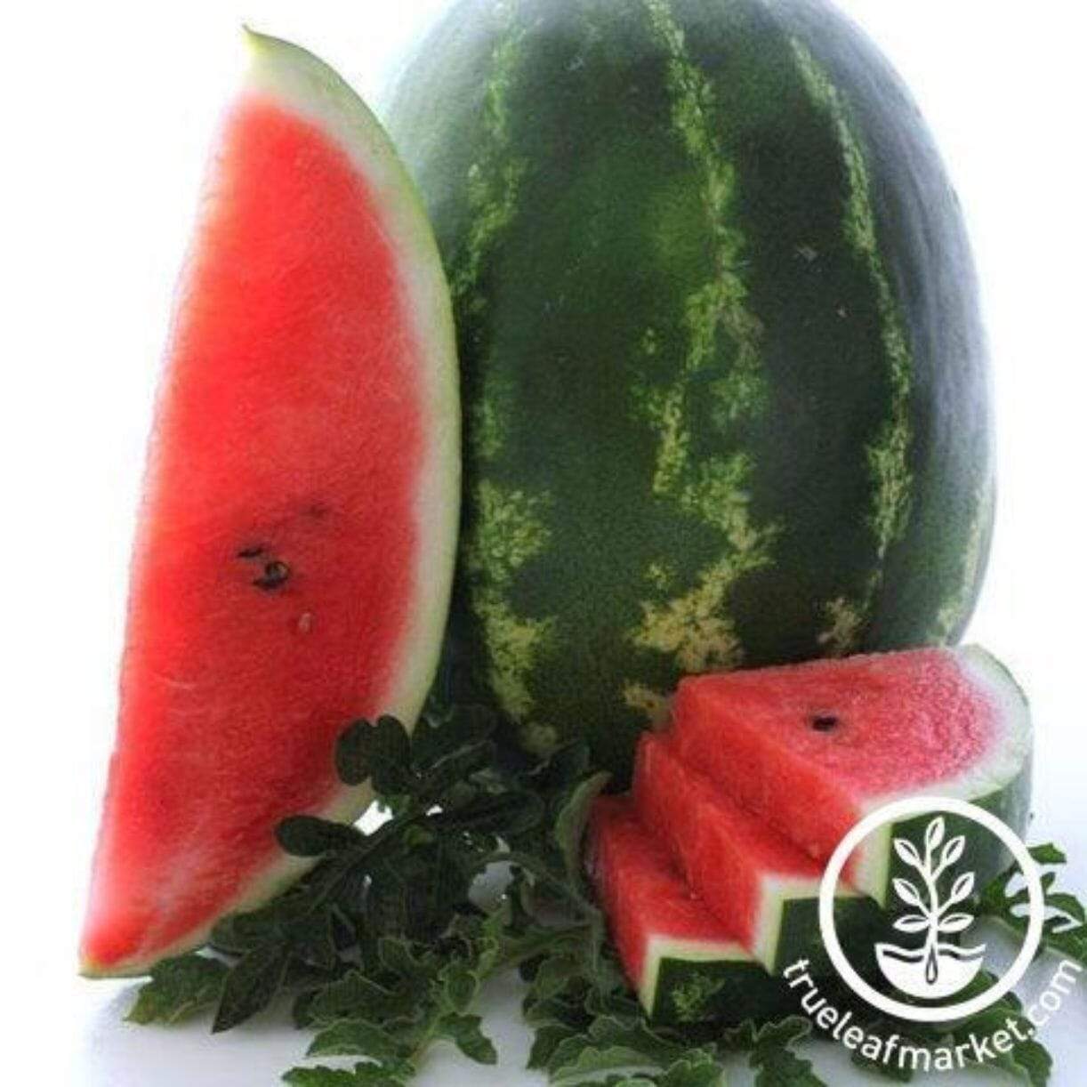 Cal Sweet Supreme Watermelon