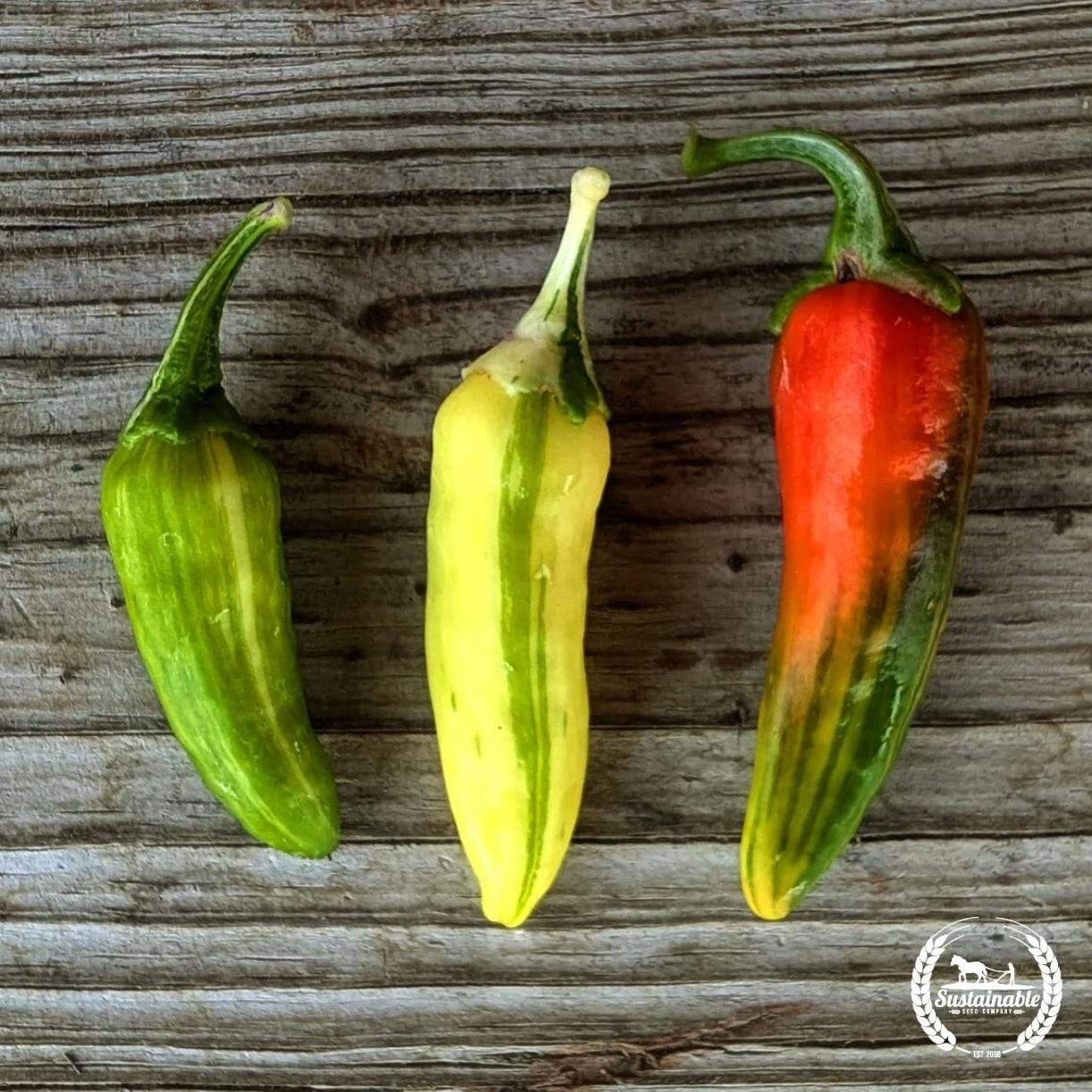 Fish Pepper