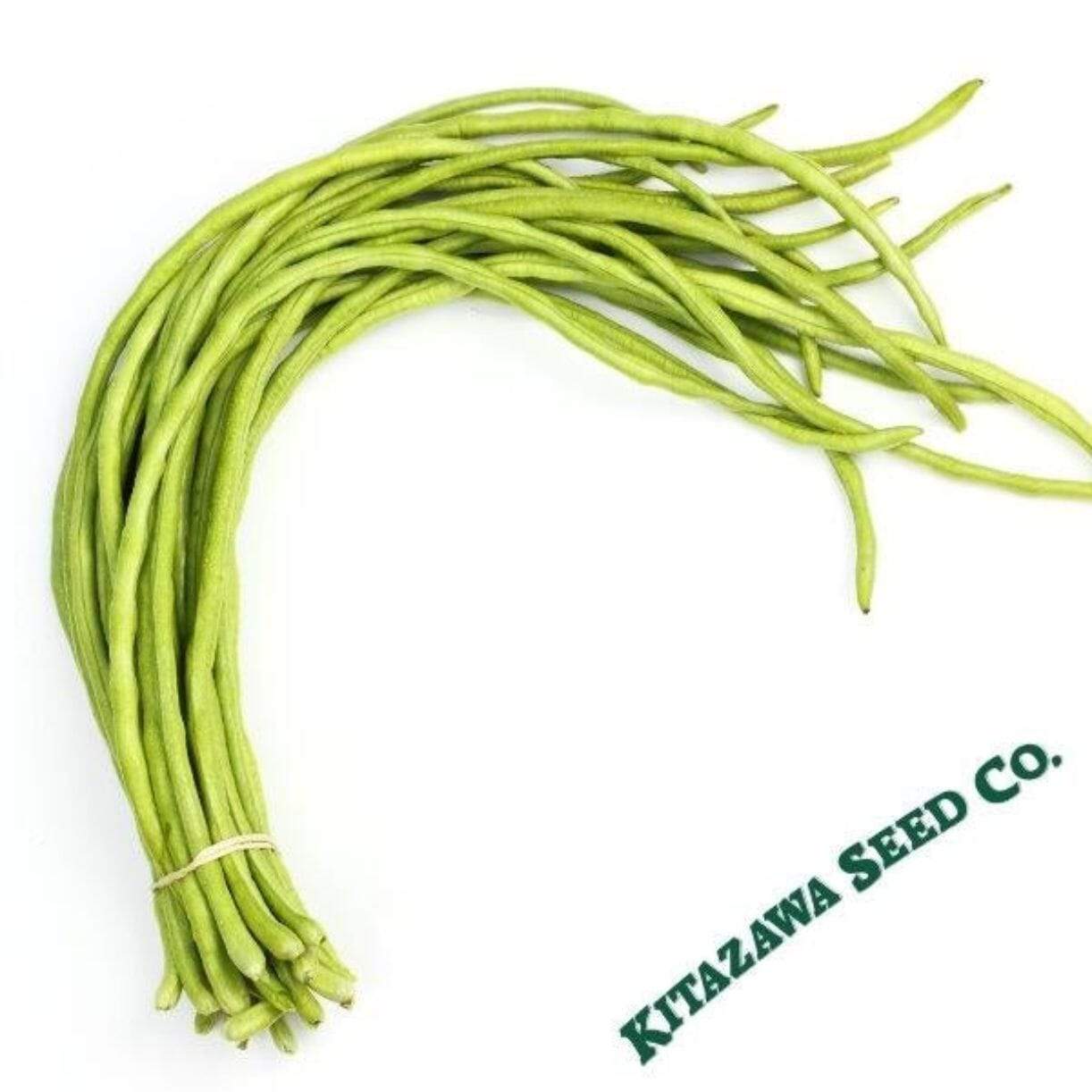 White Seeded Yard Long Bean