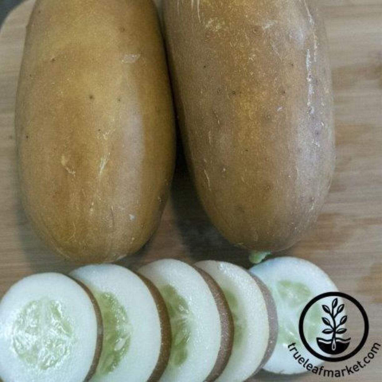 Brown Russian Cucumber