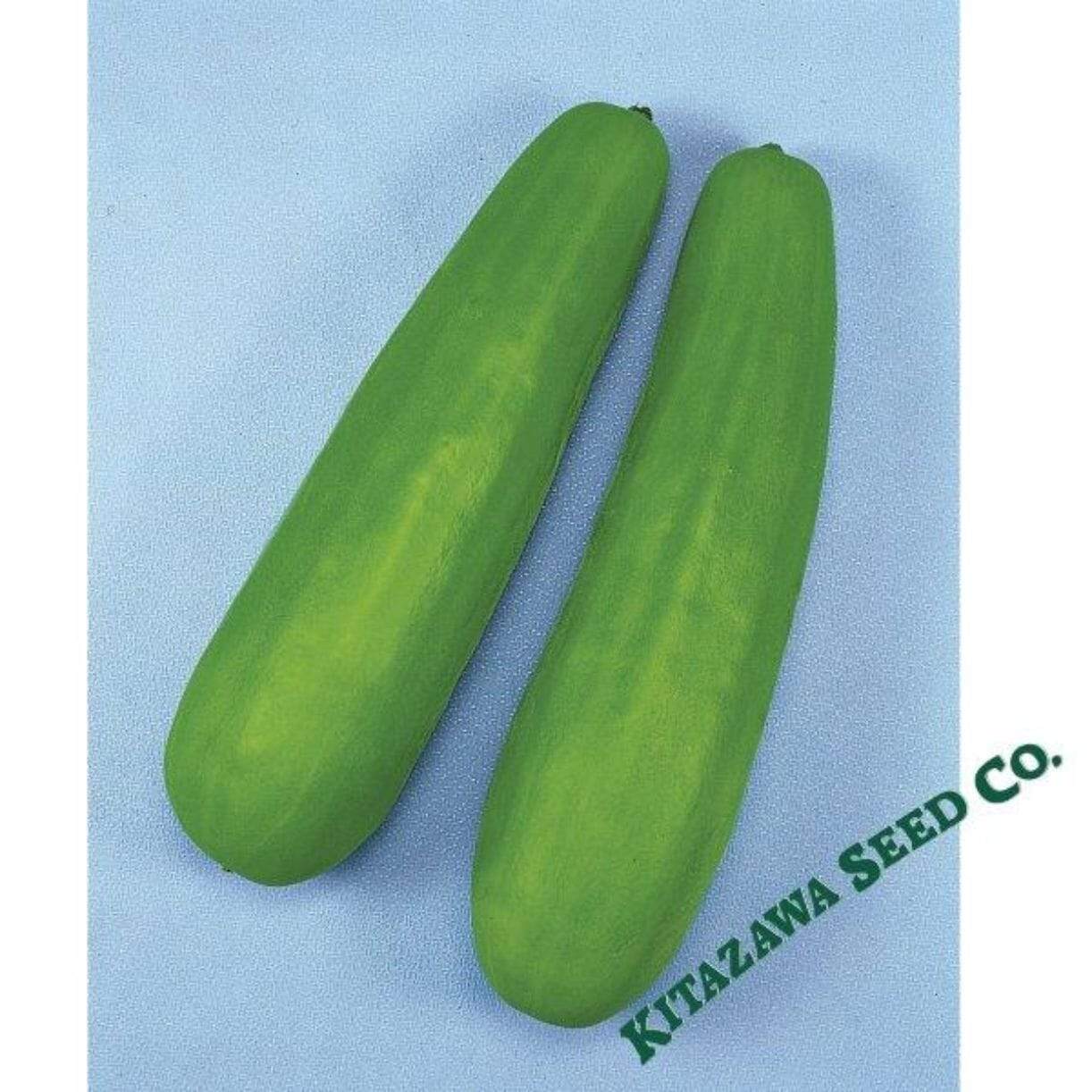 Katsura Giant Melon
