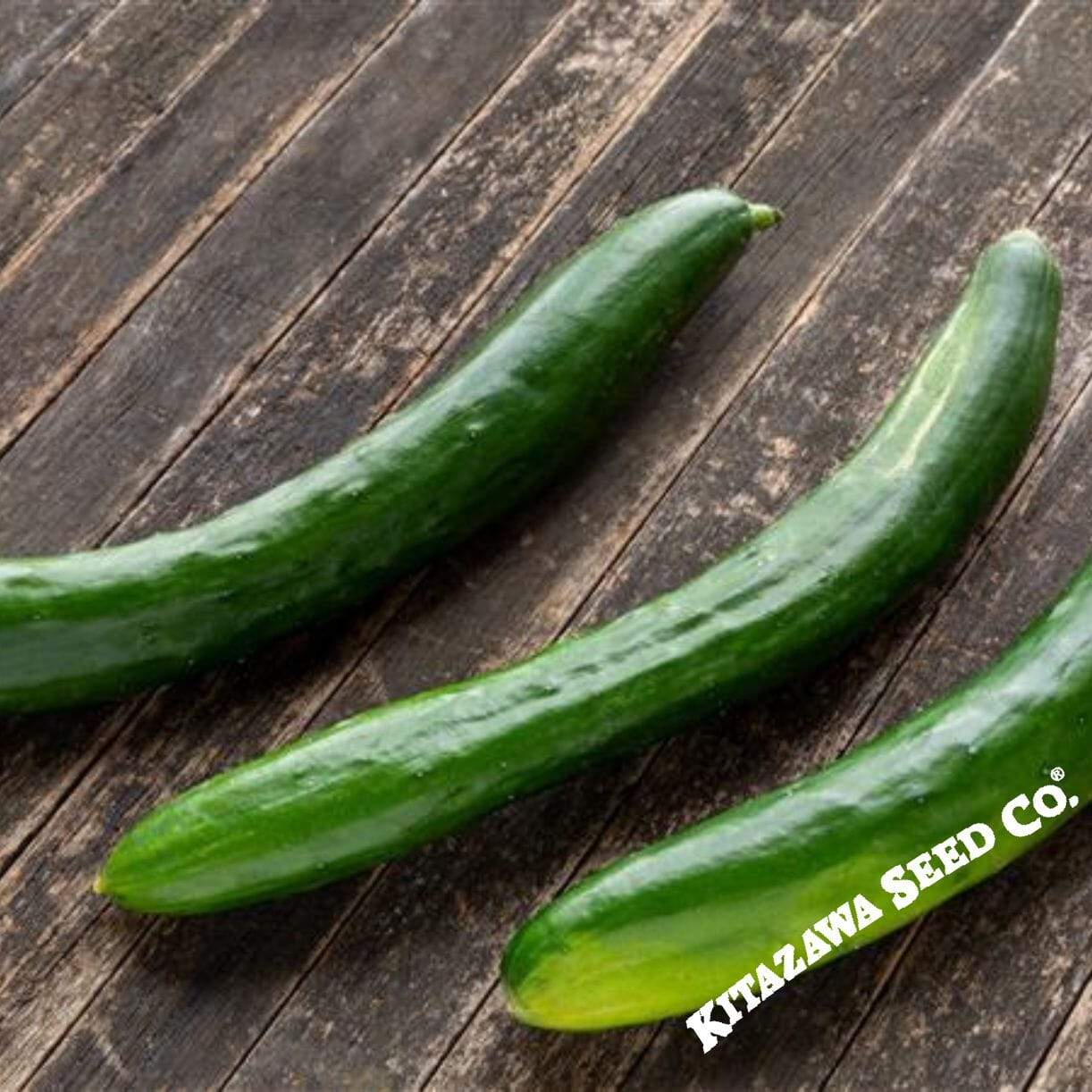 Japanese Long Cucumber