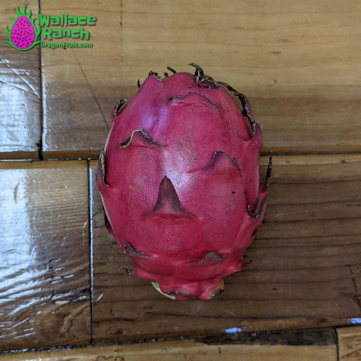 Wallace Ranch Dragonfruit (3)