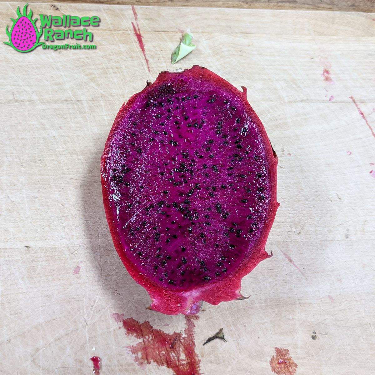 Wallace Ranch Dragonfruit (1)