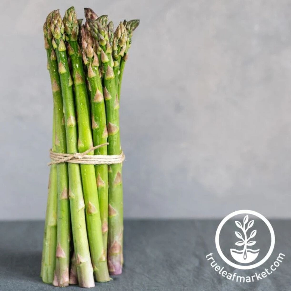 Mary Washington Asparagus