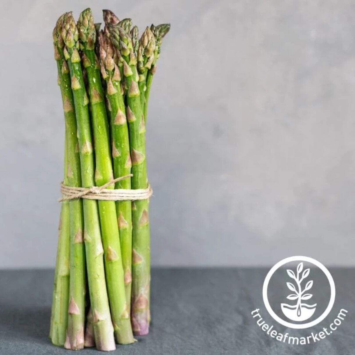 Mary Washington Asparagus